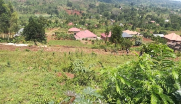 Plots of land for sale in Mukono