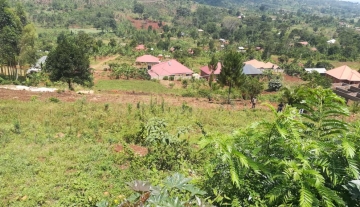 Affordable land for sale in Mukono