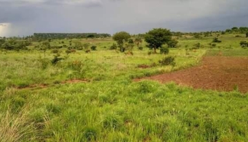 Vacant Land / Plot for sale in Nwoya