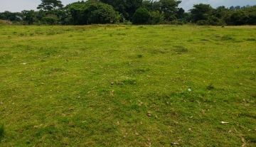 7 square miles (4500 acres) land for sale in Kalngala (2)