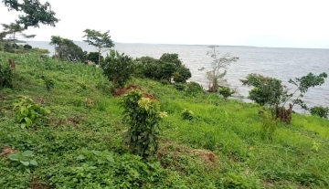 7 Square miles Private Island for Sale in Kalangala