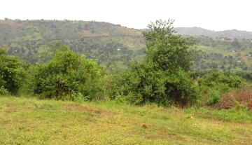 Affordable Farm Land for sell in Gomba