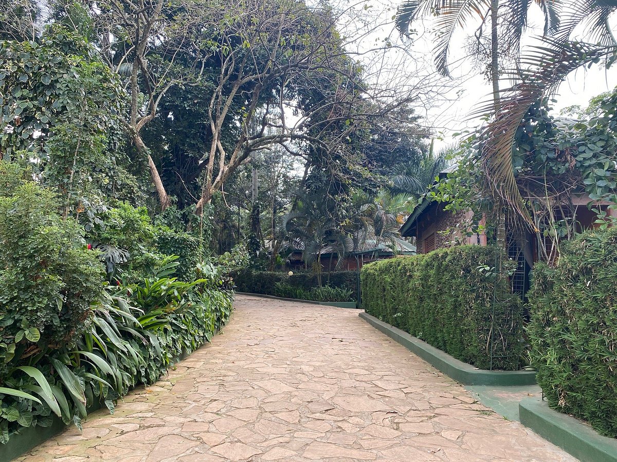 photo2jpg.jpg