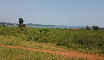 Land for sale in nkumba on entebbe road.
