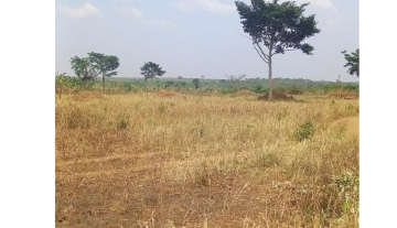 500 Acres of Prime Private Mailo Land for Sale in Kamira, Luweero District