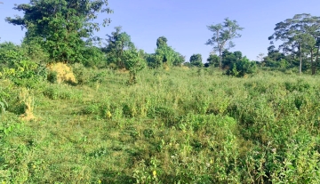 500 Acres of Private Mailo Land for Sale – Kapeka, Semuto Road