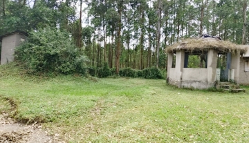 400 Acres of Prime Farmland for Sale – Masaka, Kibinge