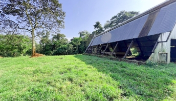 220 Acres of Prime Lakefront Land for Sale – Nyenga, Njeru (Buikwe District)